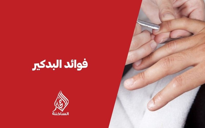 فوائد البدكير